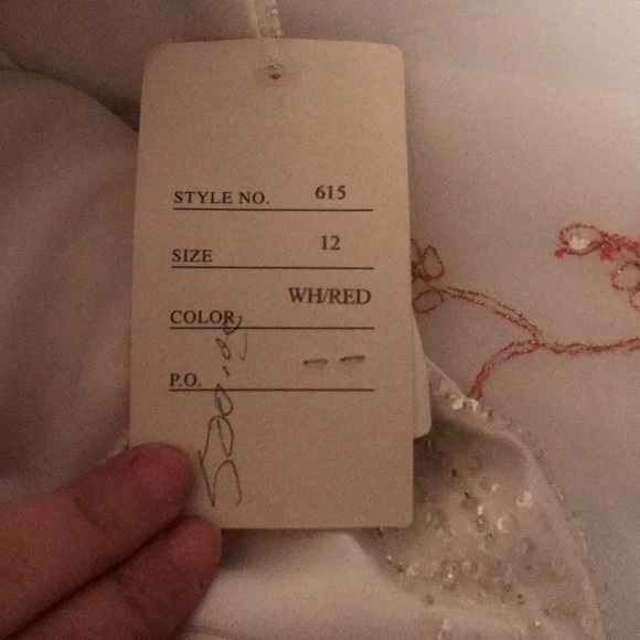 Quincenera dress never been used - Picture 6 of 6